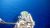 bp Announces Successful Completion of Drilling of “El King-2” Exploration Well