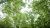 bp acquires majority stake in largest US forest carbon offset developer Finite Carbon
