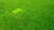 Erneuerbare Kraftstoffe - © Verticalarray / Shutterstock