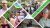 Diversity, equity & inclusion 