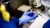 An technician uses a test tube to perform tests in the Bulwer Island Refinery Laboratory in Queensland, Australia. 