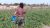 Projet agropastoral 