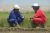 A pipeline engineer and environmental specialist discuss ground reinstatement on a field on the BTC pipeline right of way, Azerbaijan.  